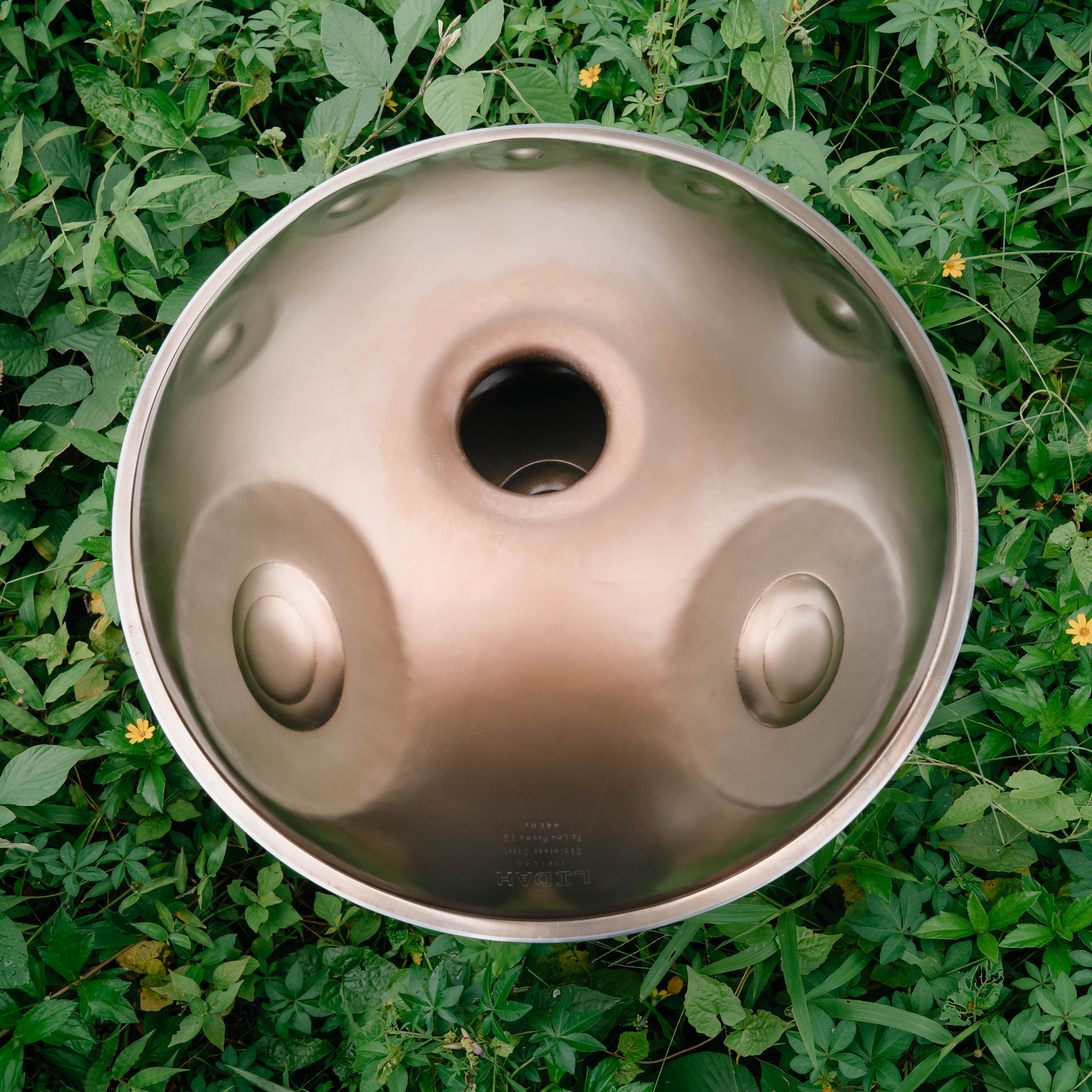 Stainless Steel I Fa2 Low Pygmy 16