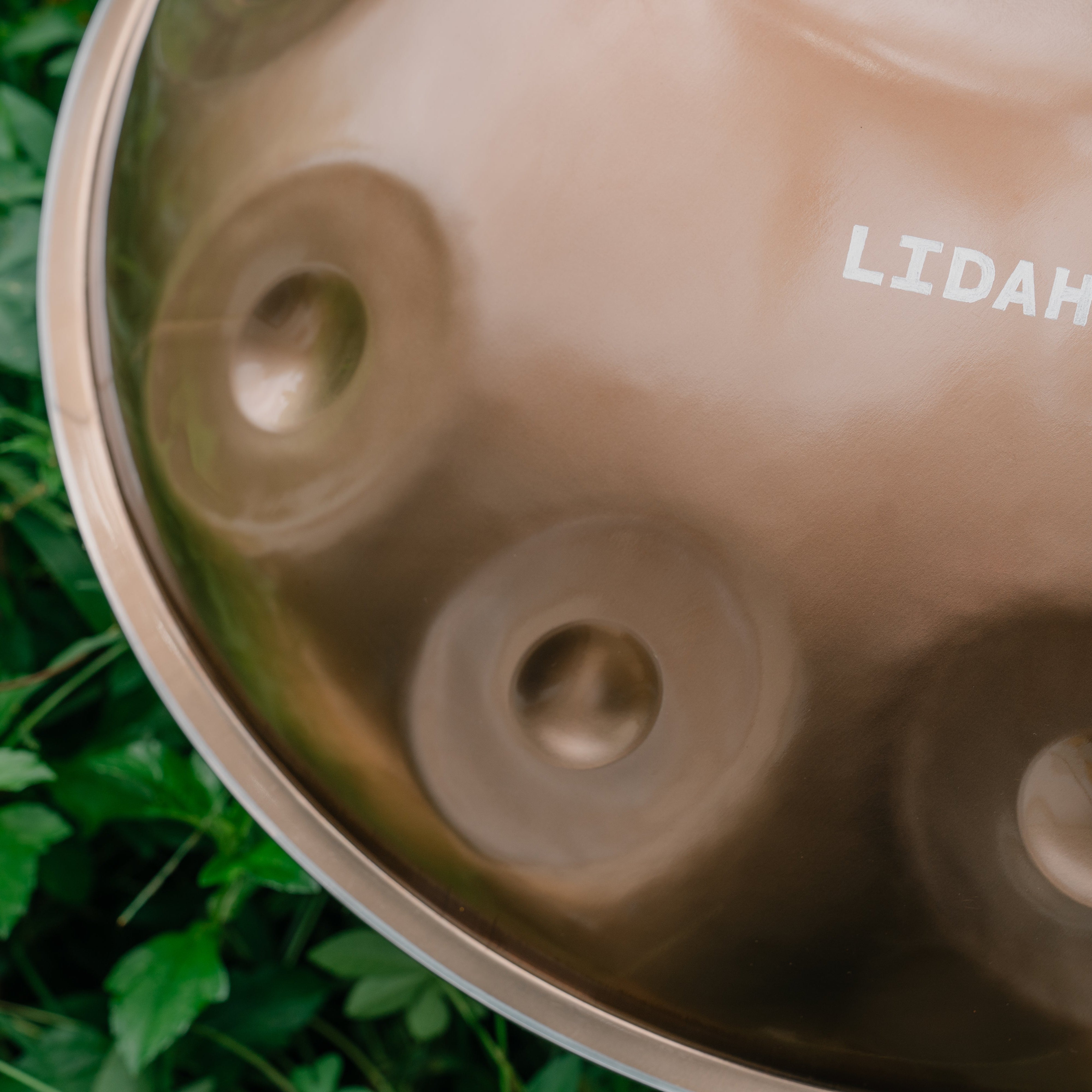 Stainless Steel I F Pygmy 10