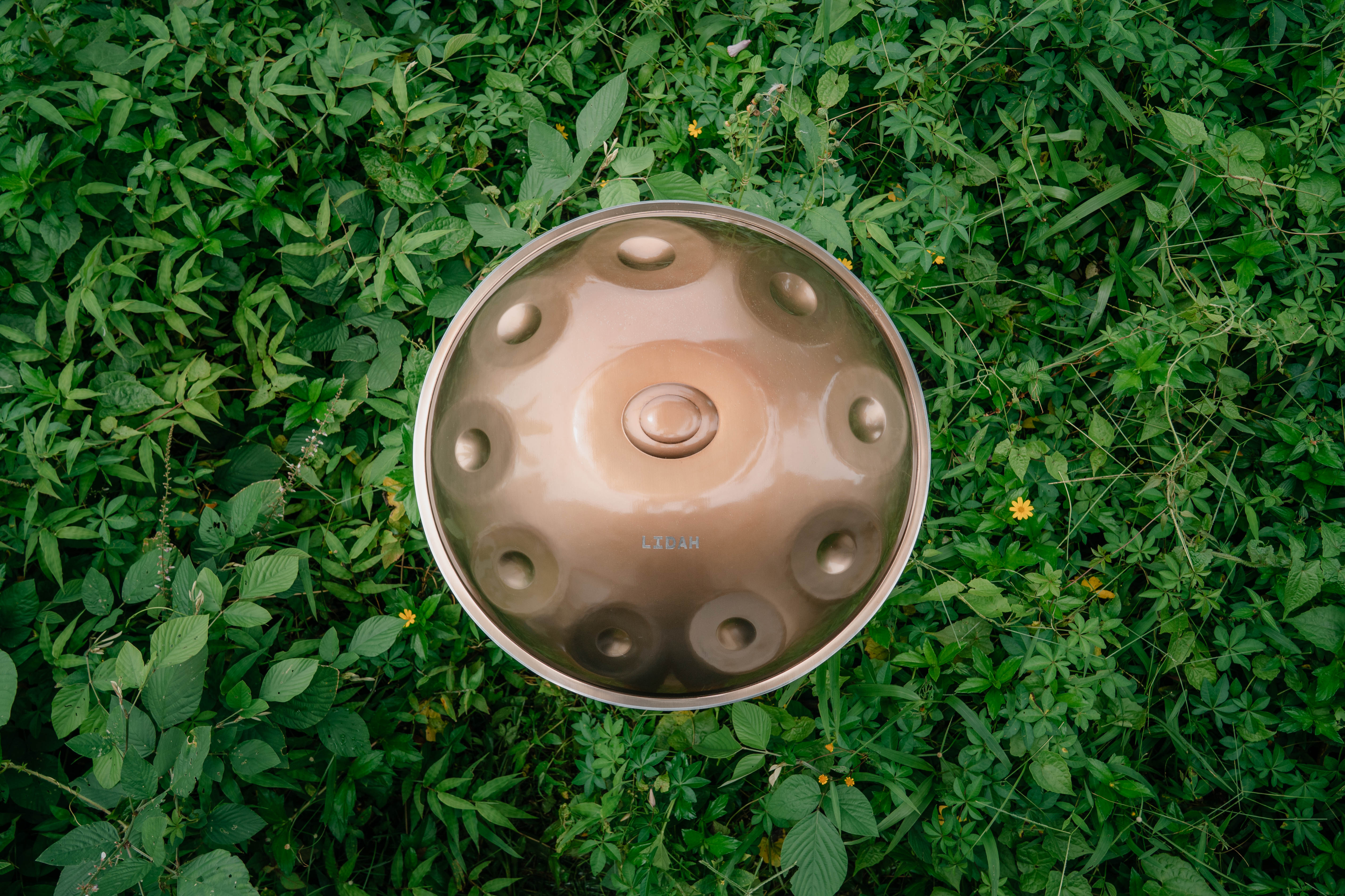 What Is a Handpan? Everything You Need to Know About This Unique Instrument - LIDAH