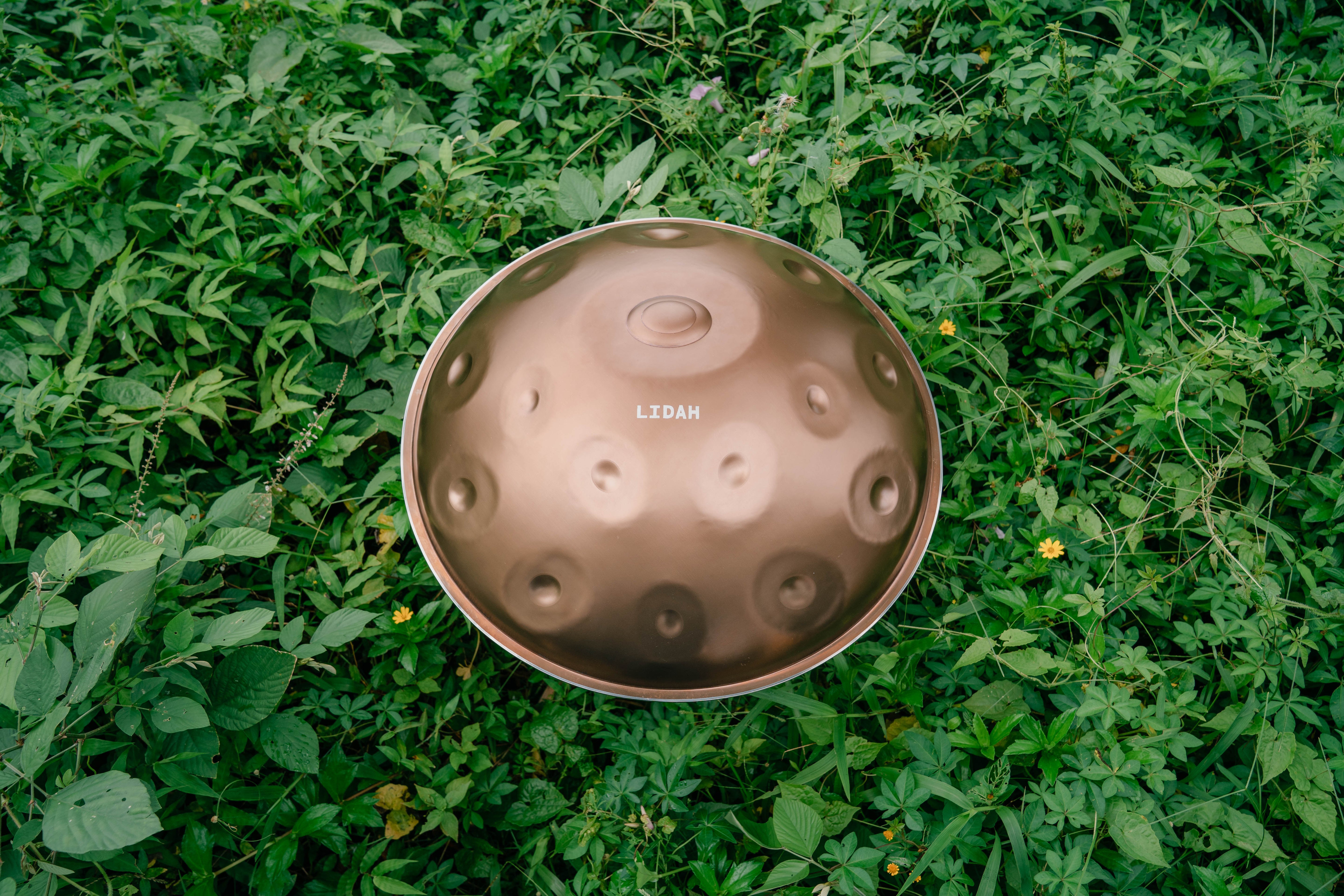 Pro Series Handpans - LIDAH