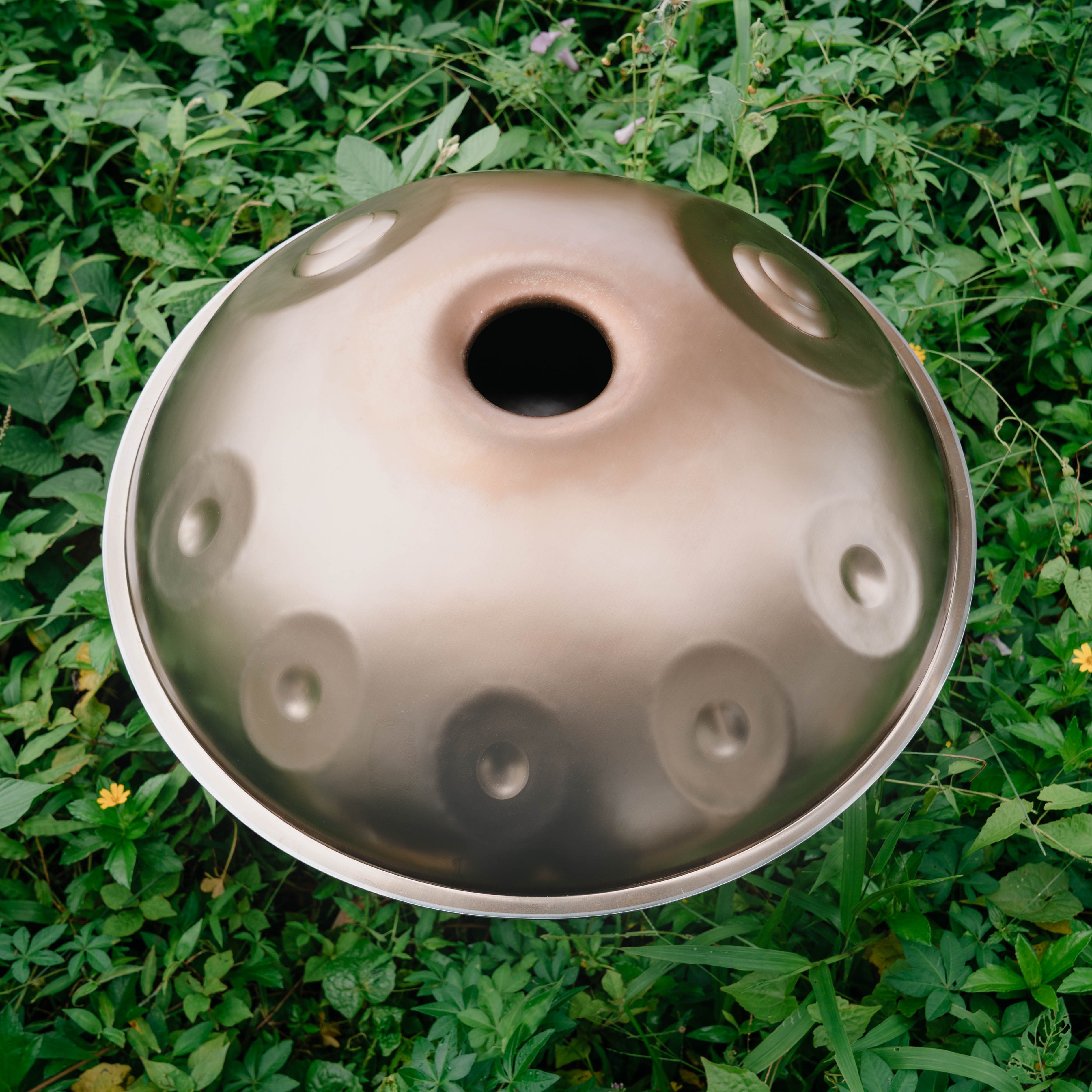 Stainless Steel I Fa2 Low Pygmy 16