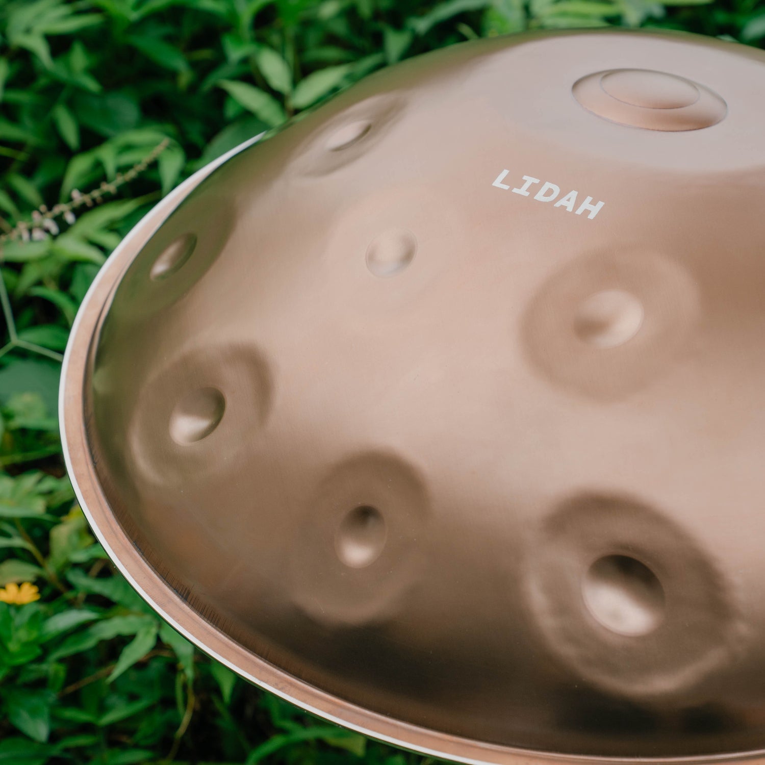 Stainless Steel I F Low Pygmy 21 - LIDAH